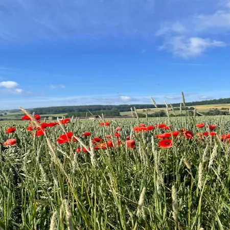 Im Mit Gartenterrasse 別荘