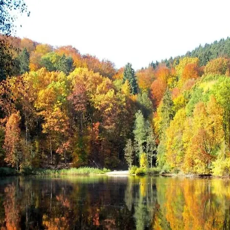 Im Mit Gartenterrasse 別荘 *