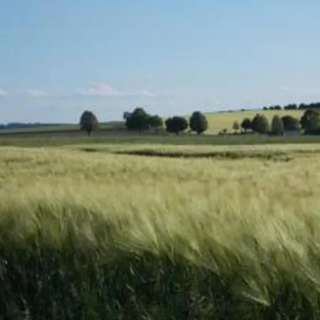 Im Mit Gartenterrasse 別荘