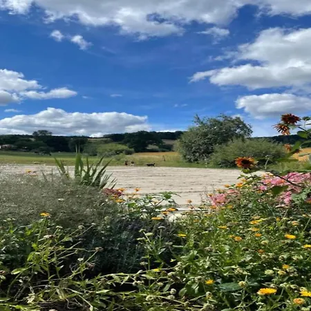 Im Mit Gartenterrasse 別荘 *