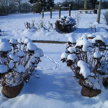 Im Mit Gartenterrasse 別荘