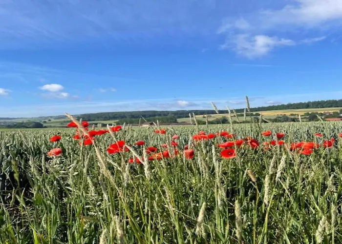 Im Mit Gartenterrasse Vakantiehuis