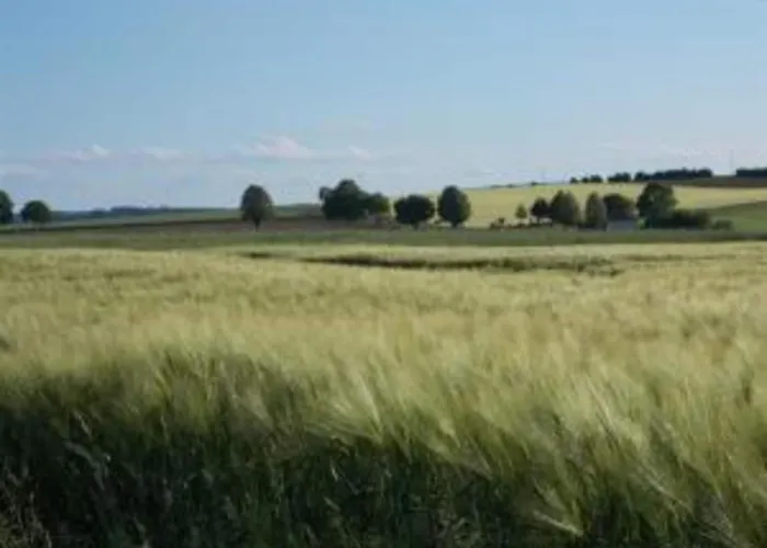 Im Mit Gartenterrasse Vakantiehuis