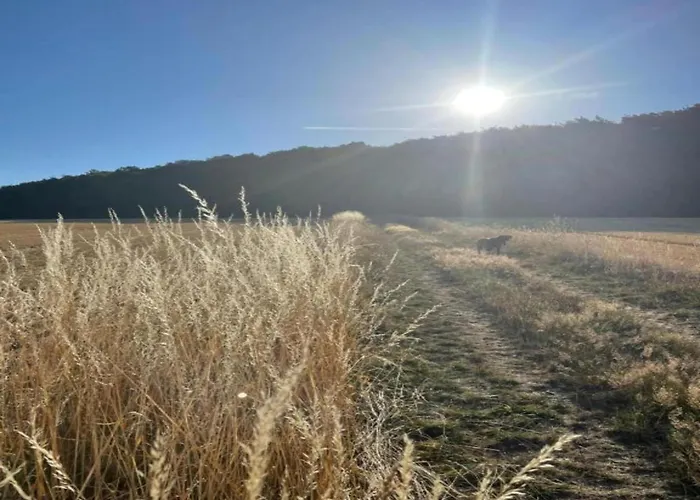 Im Mit Gartenterrasse Vakantiehuis