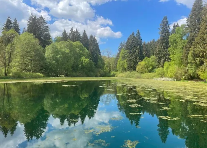 Im Mit Gartenterrasse * Uslar