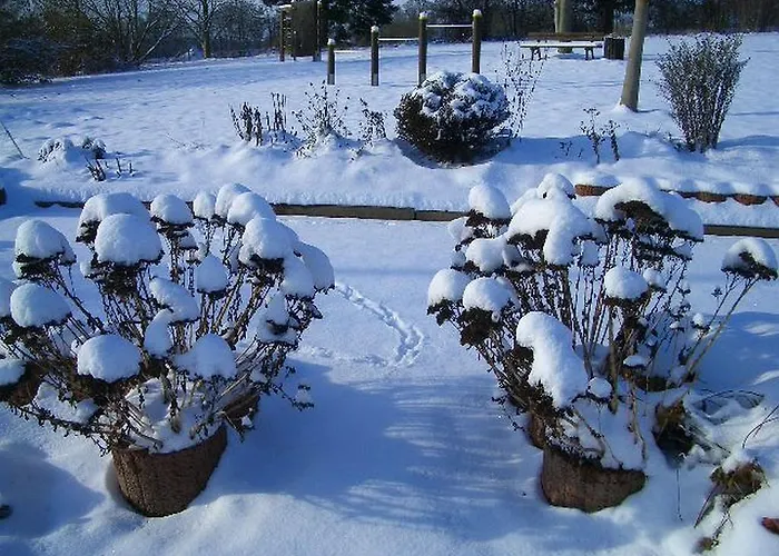 Im Mit Gartenterrasse Vakantiehuis